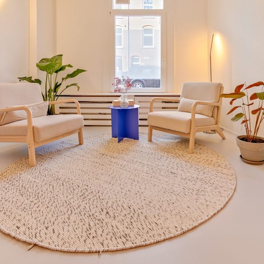 De behandelkamer van Psychologiepraktijk Stip met twee fauteuils en planten